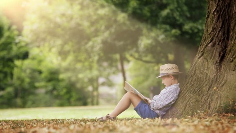boy, under a tree, child, reading, book, green spaces, nature, benefits, viewing, attention